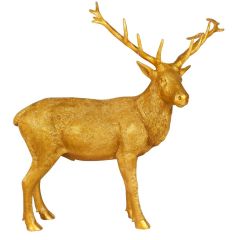 Golden Stag